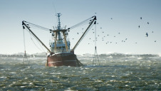 The government wants to separate the issue of access to its waters from that of how much British fish is exported to the EU in its Brexit discussions with Brussels